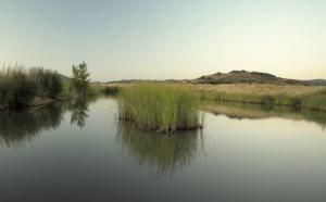 Rehabilitación de la gravera del Charco del Tamujo