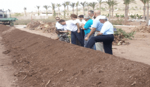 RIU Hotels &  Resorts