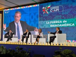 Narciso Casado durante su intervención en el Congreso de CEAPI
