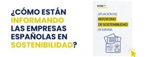 Informe reporting sostenibilidad