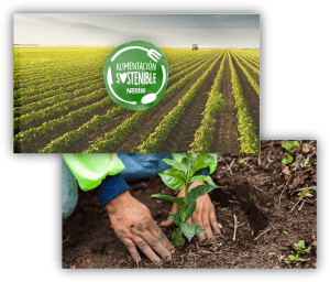 Composición de imágenes con campos de cultivo, una persona plantando un árbol y el distintivo de Alimentación Sostenible de Nestlé.