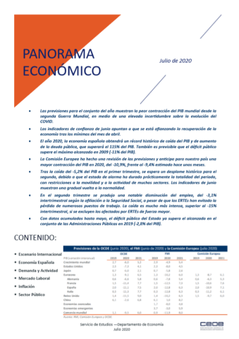 Panorama económico - Julio 2020