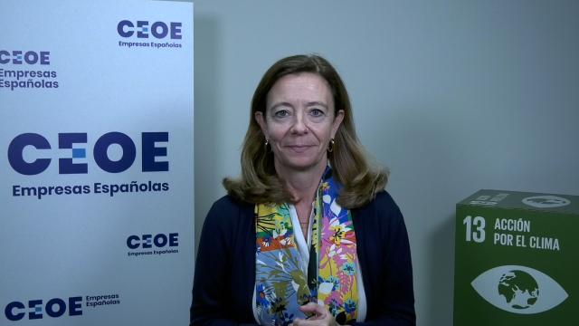 CEOE participa como observador oficial en la COP27