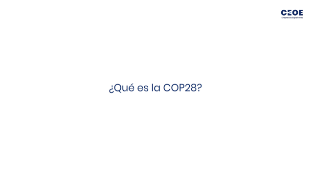 COP28 yt