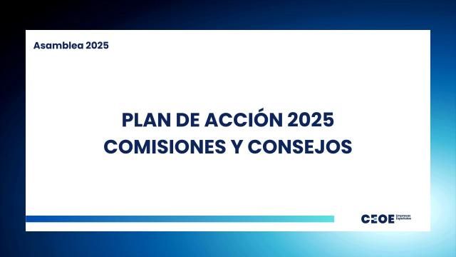 Plan de Acción 2025 Comisiones y Consejos